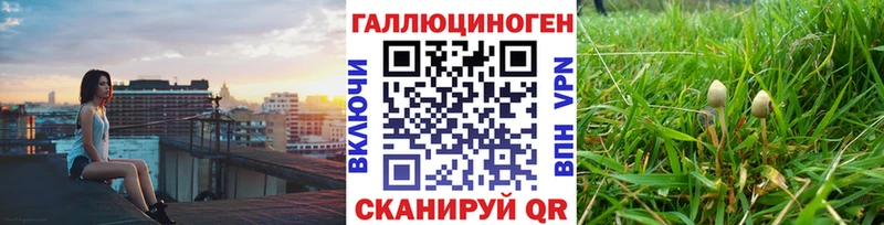 Галлюциногенные грибы MAGIC MUSHROOMS  Сунжа 